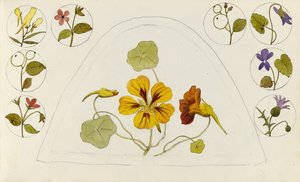 Motiver med nasturtium og andre blomster af Rosa Brett