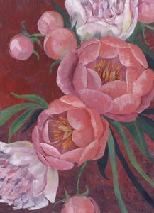 Elegante lyserøde pæoner af Rosana Laiz Blursbyai