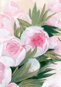 Lyserøde pæonblomster af Rosana Laiz Blursbyai