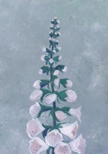 Blomst af hvid fingerbøl af Rosana Laiz Blursbyai