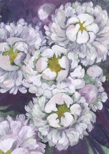 Hvide pæonblomster af Rosana Laiz Blursbyai