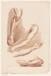 Tre arme og et ben Principper for at tegne fra naturen, del syv (serietitel) VIIe Cahier de Principes du Design d