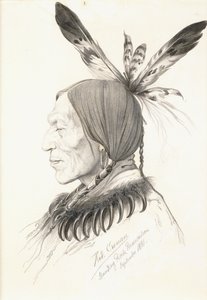 Heu-Topa, Four Horns or Jagoo, The Storyteller, Chief of the Hunkpapa Sioux af Rudolf Cronau