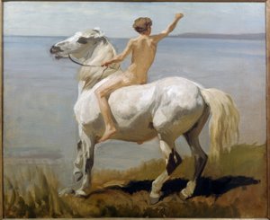 Dreng på en hvid hest