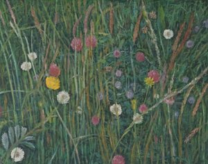 Plants of the Machair, 2008 af Ruth Addinall