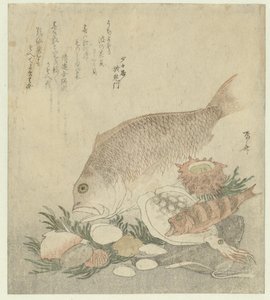 Fisk og Skaller af Ryuryukyo Shinsai