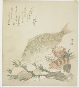 Fisk og skaller af Ryuryukyo Shinsai