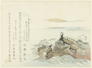 Skildpadder på en klippe af Ryuryukyo Shinsai