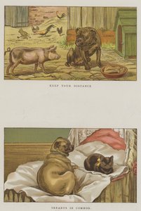 Humoristiske hunde (chromolitho) af S.T. Dadd