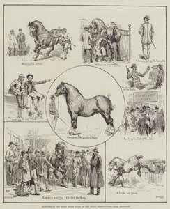 Skitser ved Shire Horse Show, i Royal Agricultural Hall, Islington
