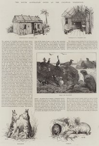 South Australian Court på Colonial Exhibition af S.T. Dadd