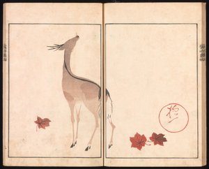 Ōson (Hōitsu) billedalbum (Ōson gafu) af Sakai Hoitsu