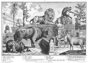 Løve og bisonpar af Salomon Kleiner