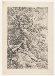 Sankt Vilhelm af Maleval af Salvator Rosa