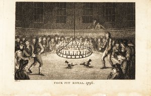 Gamblere ser en hanekamp i levende lys ved Cock Pit Royal, St af Samuel (after) Howitt