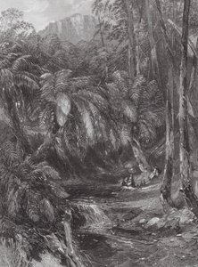 Australien: A Fern Tree Valley (gravering) af Samuel (after) Prout