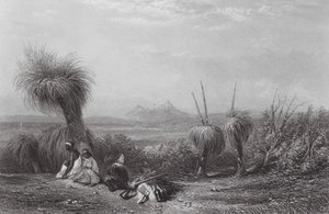 Australien: Grass Tree Plains (gravering)