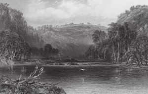 Australien: On the Cow Pasture River (gravering) af Samuel (after) Prout