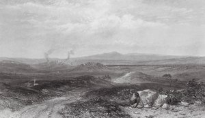 Australien: Udsigt nær Botany Bay (gravering) af Samuel (after) Prout