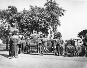 En gruppe af H E Vicekongens elefanter og deres statsfangst, ca. 1860