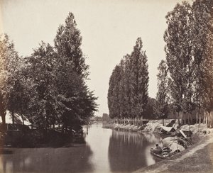 Flod med træer (Indien) af Samuel Bourne