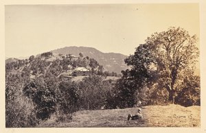 Simla; "Peterhof" af Samuel Bourne