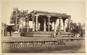 Den store stentyr, Tanjore