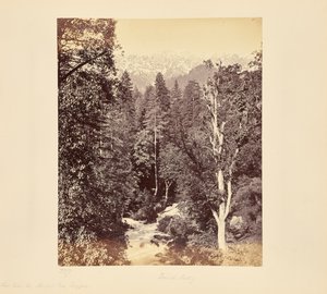  af Samuel Bourne