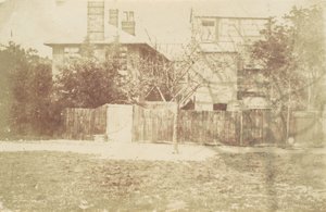 Træ i gården, 1850