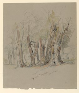 Cyprestræer i Chapultepec, Mexico af Samuel Colman