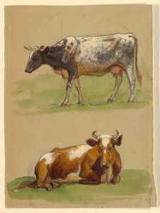 Tegning, Kvæg, en ko, der går, og en ko, der sidder på hug, 1875-80 af Samuel Colman