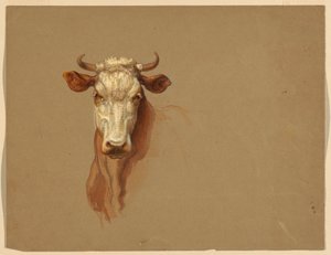 Tegning, to studier.  Kvæg, 1876 af Samuel Colman