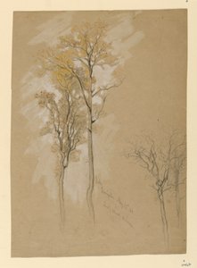 Oaks, Lady Wood Lane, Irvington af Samuel Colman