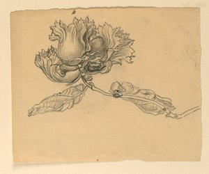 Studie til illustration: Hasselnødder af Samuel Colman