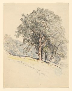 Undersøgelse af egetræer ved Lake Dunmore, Vermont af Samuel Colman