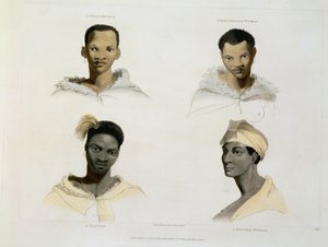 A Hottentot, a Hottentot Woman, a Kaffre, a Kaffre Woman: fire hoved- og skuldervignetter, plade 14 fra 