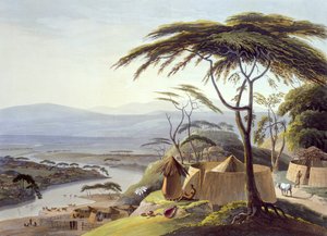 The Town of Leetakoo, plade 22 fra 