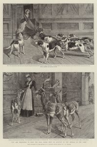 Du anmodes om at holde hallens døre lukkede på grund af dyrene i parken (litho) af Samuel Edmund (after) Waller