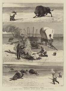 En dag stadig på jagt efter nordamerikansk bøffel af Samuel Edmund Waller