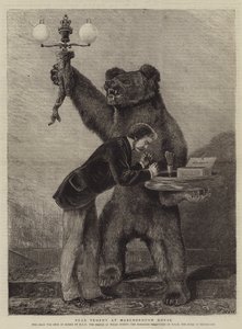 Bear Trophy i Marlborough House af Samuel Edmund Waller