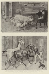 Du bedes holde haldørene lukkede af hensyn til dyrene i parken af Samuel Edmund Waller