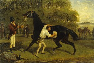 Rubbing Down (olie på lærred) af Samuel Henry Alken