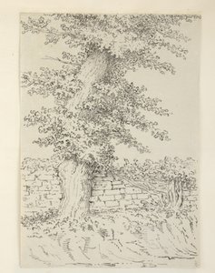 Tilføje. MS 15546 Am Elm Tree ved Bedminster af Samuel Hieronymous Grimm