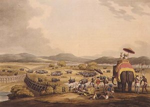 Driving Elephants Into A Keddah, fra "Oriental Field Sports", pub. af Edward Orme
