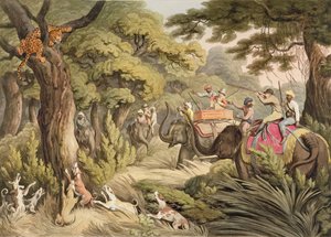 Shooting A Leopard, fra Oriental Field Sports, pub. af Edward Orme, 1807 (tryk)