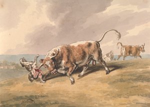En tyr, der angriber en hund af Samuel Howitt