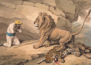 En løve, der står over en såret leopard