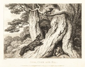 En hane i et træ overliste en ræv, mens en hund sover. 1811 (ætsning) af Samuel Howitt