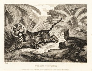 En ræv ser på en såret tiger. 1811 (ætsning) af Samuel Howitt
