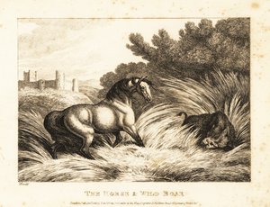 En hest og vildsvin vender ud mod en græsgang. 1811 (ætsning) af Samuel Howitt